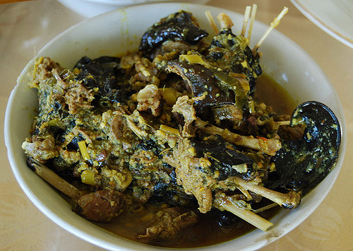 Paniki (Kelelawar Bakar)